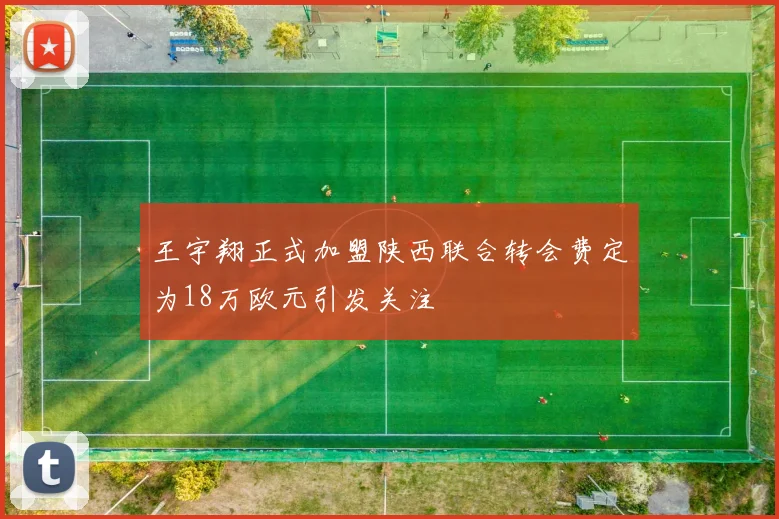 王宇翔正式加盟陕西联合转会费定为18万欧元引发关注