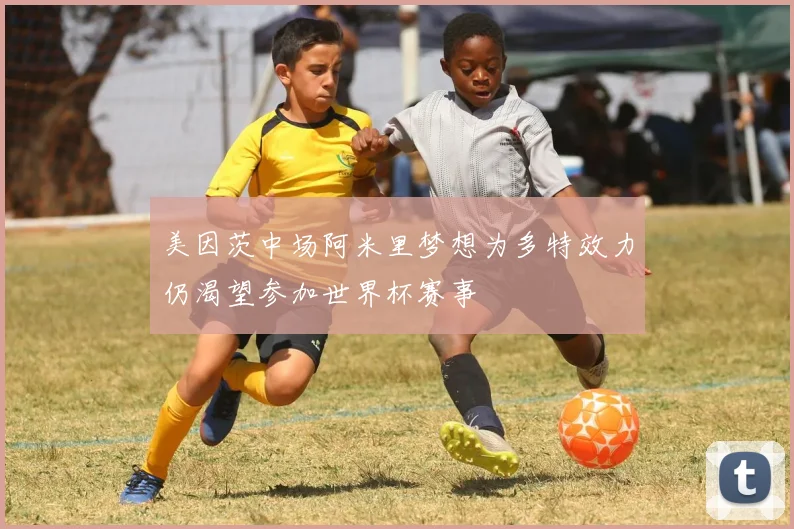 美因茨中场阿米里梦想为多特效力仍渴望参加世界杯赛事